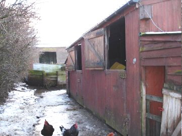 house stables