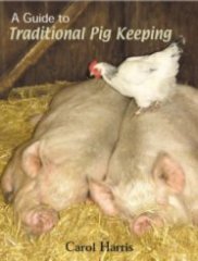 pig keeping1